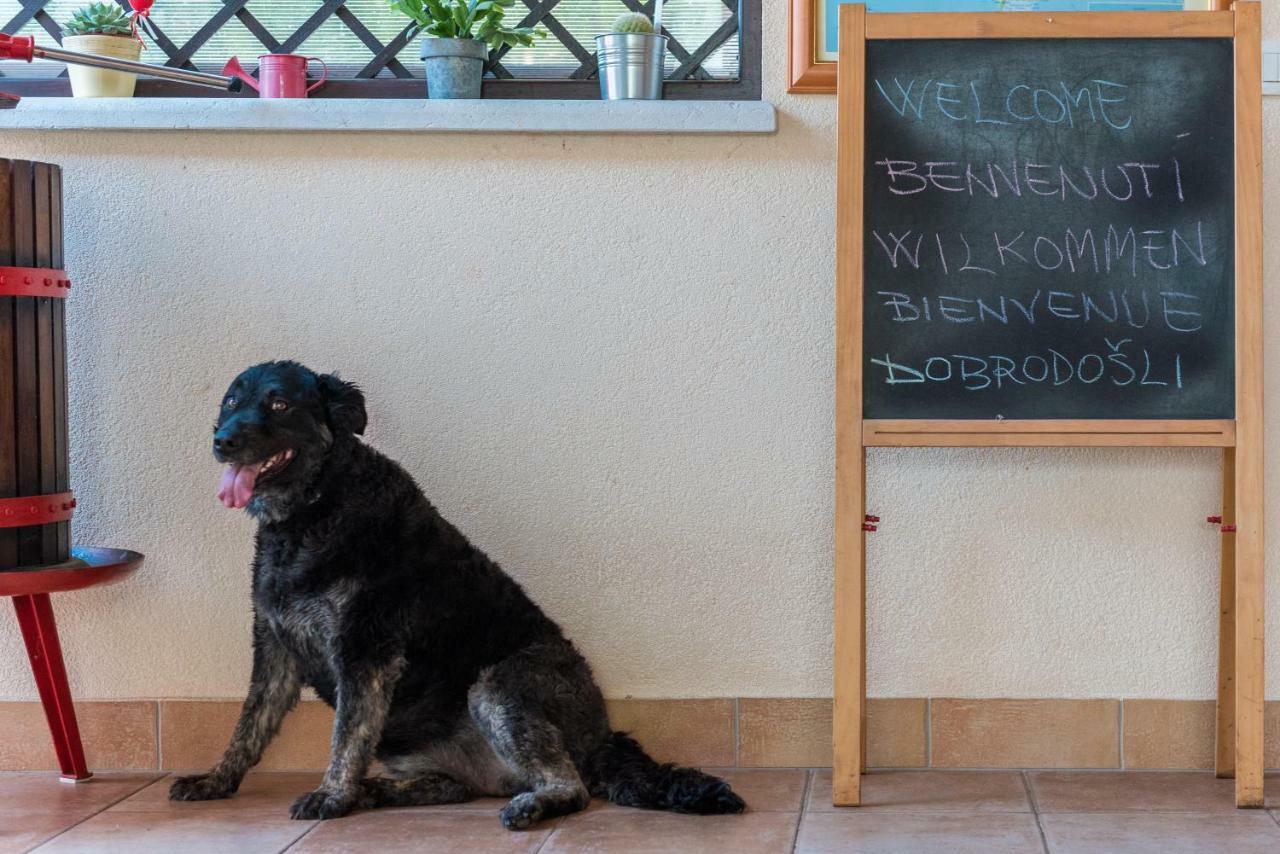 Bed & Breakfast Carmela 2*