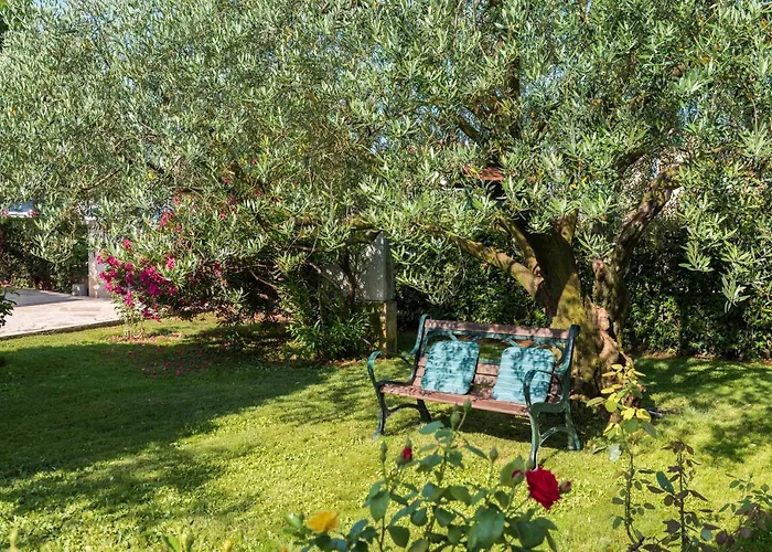 B&B Carmela